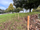 Wooden markers staked into the ground at Porirua Cemetery, symbolising unmarked graves