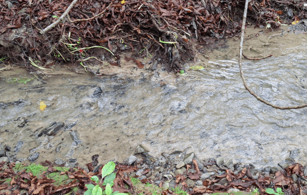 Three photos showing Mitchell Stream in Porirua with cloudy brown water, sediment buildup, and signs of recent discharges below the Porirua landfill.