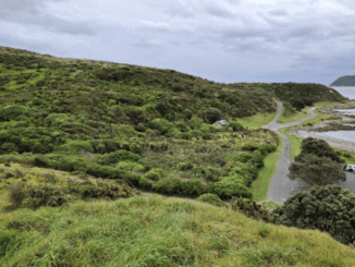 View of Onehunga Bay and surrounding coastal vegetation in Whitireia Park, with a road leading toward the sea and cloudy skies overhead.