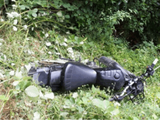A black dirt bike lying on its side in dense green bush and undergrowth, partially obscured by plants, indicating an off-track crash or abandonment.