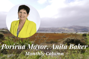 Portrait of Porirua Mayor Anita Baker with Porirua landscape background