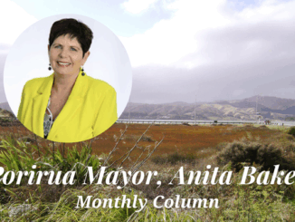 Portrait of Porirua Mayor Anita Baker with Porirua landscape background