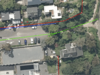 Aerial map showing Pascoe Avenue and surrounding properties in Paremata, with coloured lines marking underground wastewater and stormwater infrastructure near the shoreline.