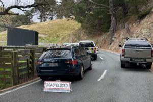 Police vehicles block a narrow rural section of Mākara Rd, with a “Road Closed” sign placed behind a patrol car. The road curves along a hillside with fencing and trees, while officers attend an incident further ahead.