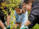 Students plant a young native tree during a streamside planting day in Porirua.