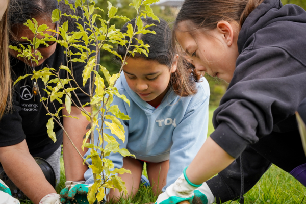 Students plant a young native tree during a streamside planting day in Porirua.