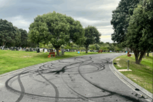Black burnout tyre marks cover a curved cemetery driveway at Whenua Tapu Cemetery in Porirua, with headstones, green lawns, and trees visible on both sides under a cloudy sky.