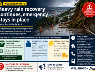 Infographic showing Wellington landslip damage and key recovery information, including emergency status, waste disposal options and safety warnings.