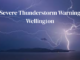 Lightning forks across a dark sky over Wellington’s coastline, with overlaid text reading “Severe Thunderstorm Warning Wellington”.