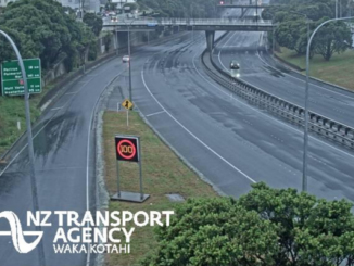 NZ Transport Agency Waka Kotahi logo overlaid on an image of a road bordered by greenery.