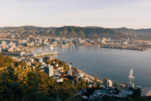 View over Wellington city and harbour from an elevated vantage point