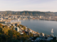 View over Wellington city and harbour from an elevated vantage point