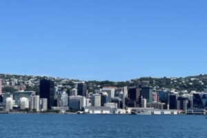 Leaves and textured carving fill the foreground, with Wellington’s waterfront skyline visible across the harbour below.
