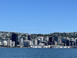 Leaves and textured carving fill the foreground, with Wellington’s waterfront skyline visible across the harbour below.