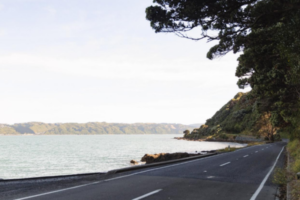 Coastal road beside Wellington Harbour, with water on one side and bush-covered hillside on the other.