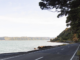 Coastal road beside Wellington Harbour, with water on one side and bush-covered hillside on the other.