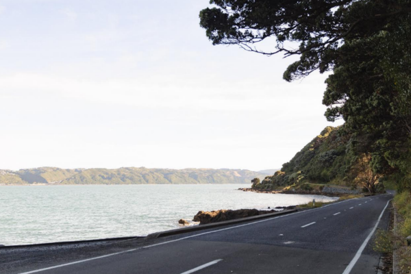 Coastal road beside Wellington Harbour, with water on one side and bush-covered hillside on the other.