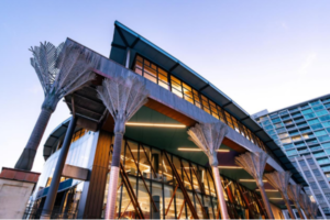 Te Matapihi ki te Ao Nui, Wellington’s central library, lit at dusk with its distinctive nikau palm columns visible outside.