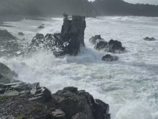 Large waves crash against rocks on a rugged Wellington region coastline during heavy swell conditions.