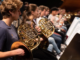 Members of the NZSO National Youth Orchestra rehearse with French horns and brass instruments ahead of their ocean-themed La Mer performances celebrating WWF-New Zealand's 50th anniversary.