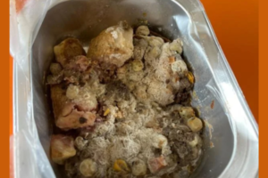 A school lunch in a metal tray covered with thick grey mould.