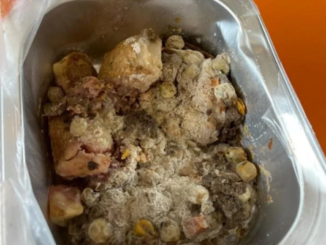 A school lunch in a metal tray covered with thick grey mould.