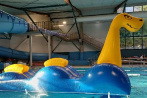 Large blue and yellow inflatable sea creature floating in an indoor swimming pool.