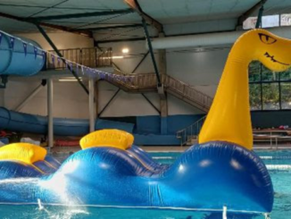 Large blue and yellow inflatable sea creature floating in an indoor swimming pool.