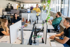 People working at desks in an open-plan Wellington technology office.