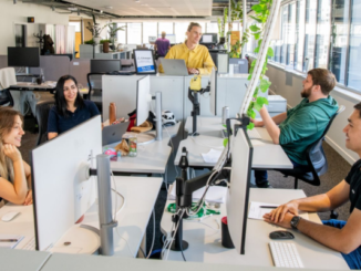 People working at desks in an open-plan Wellington technology office.