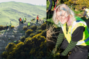 Volunteers plant native trees on an Ōhāriu Valley hillside, with a close-up of one volunteer working among the seedlings.