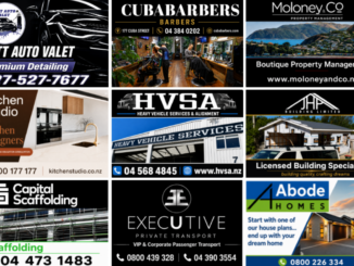 Wellington News Business Directory collage featuring Hutt Auto Valet, Cuba Barbers, Moloney & Co Property Management, Kitchen Studio, HVSA, JHP Building, Capital Scaffolding, Executive Private Transport and Abode Homes.