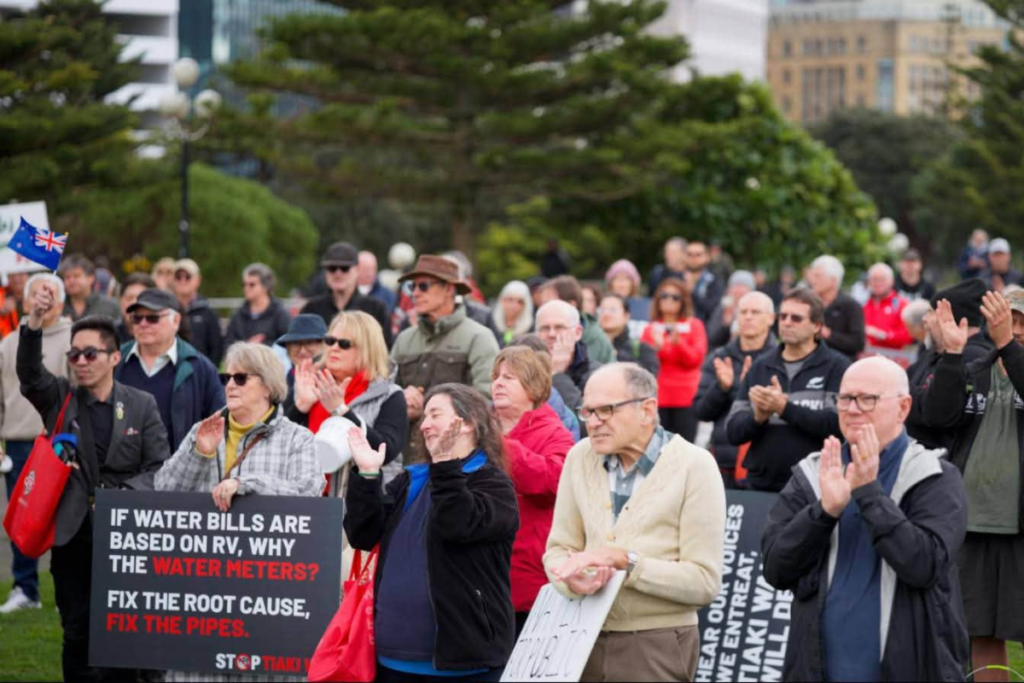 Wellington residents gather outside Parliament during a protest over Tiaki Wai water charges.