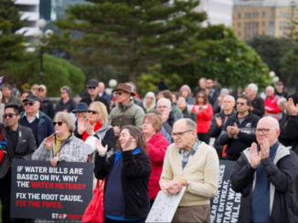 Wellington residents gather outside Parliament during a protest over Tiaki Wai water charges.