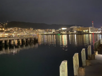 Wellington Harbour at night, with waterfront lights reflecting across the water and the city hills in the background.