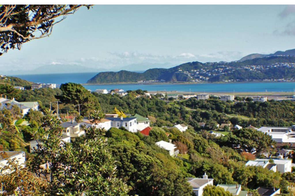 View across Strathmore Park towards Wellington Harbour, with houses, trees and the coastline visible.