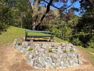 A green park bench behind a circular stone garden beneath leafy trees.